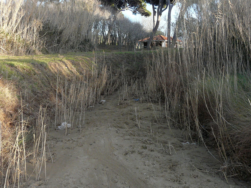 I fossi e lo stagno di Baratti (Piombino - LI)